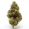 Jack Herer Cannabis Strain