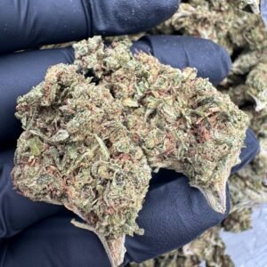 Buy Weed Online Manchester, How to buy weed Manchester legally, Where to buy weed Manchester, Best weed strains Manchester, buy weed near me Manchester,