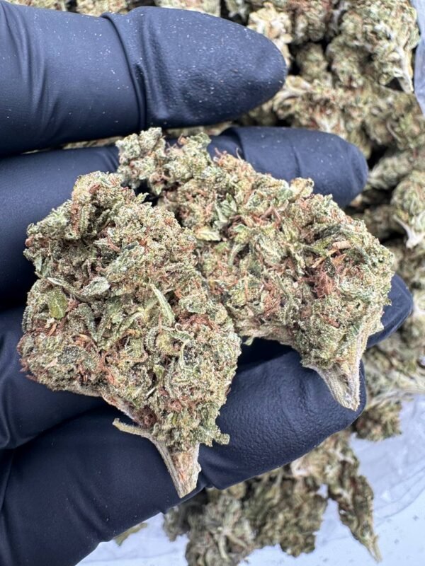 Buy Weed Online Manchester, How to buy weed Manchester legally, Where to buy weed Manchester, Best weed strains Manchester, buy weed near me Manchester,