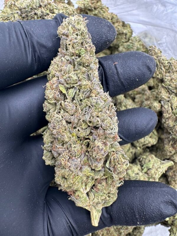 Buy Weed Online London, best way to buy marijuana online London, can I buy marijuana online in London safely, where to buy marijuana online London