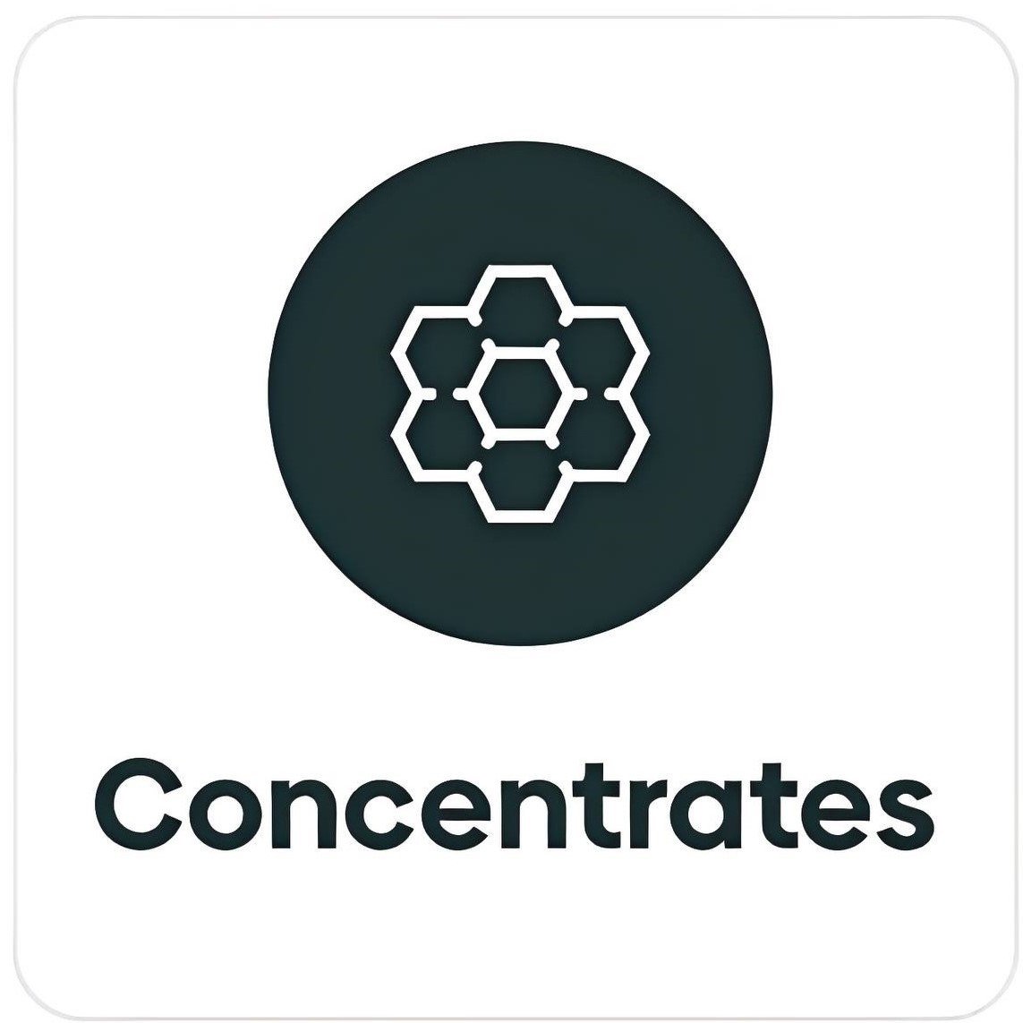 photo_2025-02-24_15-34-02 (2)