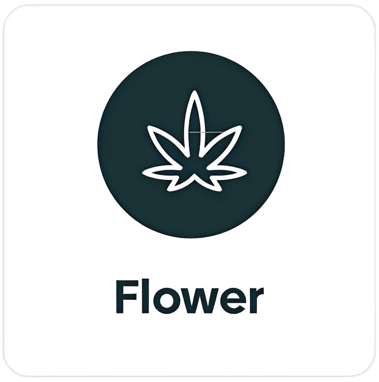 photo_2025-02-24_15-34-04